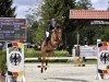 jumper Quintana Z (German Warmblood, 2012, from Qui Maro)