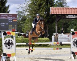 Springpferd Quintana Z (Deutsches Reitpferd, 2012, von Qui Maro)