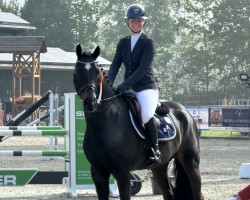jumper Crismo (Westphalian, 2020, from Cornet Obolensky)