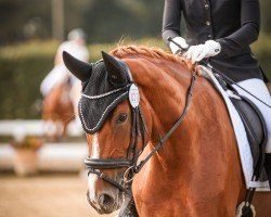 dressage horse Fleur de Vie 8 (Hanoverian, 2018, from Floris Prince)