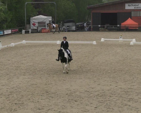 Reitturnier Uder, Reitanlage Kobold 2025