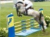 Springpferd Cornetta 43 (Deutsches Sportpferd, 2018, von Cornettino Ask)