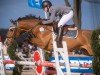 jumper Ganieus (KWPN (Royal Dutch Sporthorse), 2011, from Zacharov Tn)