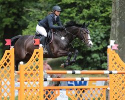 Zuchtstute Liberty's Joy (Hessisches Warmblut, 2003, von Helenenhof's Carabas)