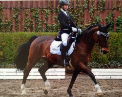 dressage horse Faitaccomply G (Westphalian, 1994, from Foxtrott)