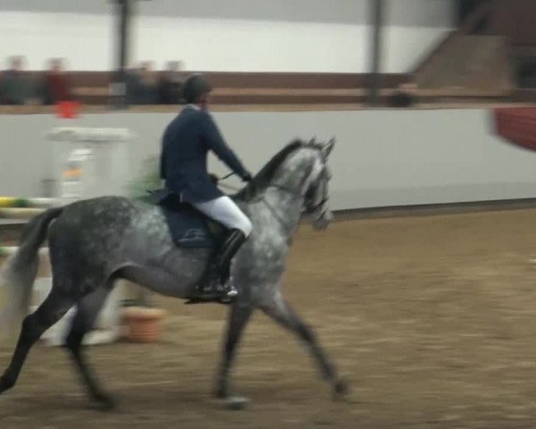 Vlotho-Exter 2014