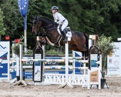 jumper Djust Dyou (Holsteiner, 2020, from Diarado)
