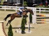 jumper Chiquita 91 (German Sport Horse, 2016, from Flipper d'Elle)