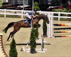 jumper Chiquita 91 (German Sport Horse, 2016, from Flipper d'Elle)