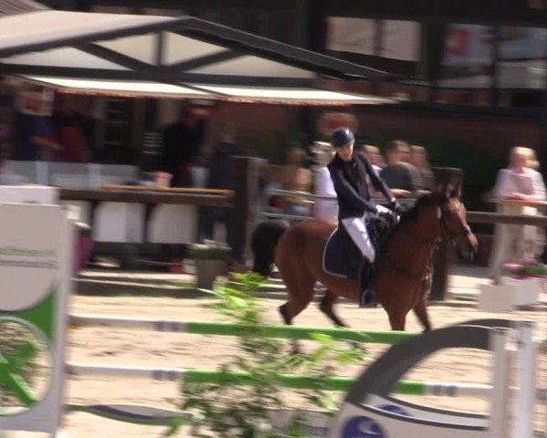 Reitturnier Havixbeck 2025