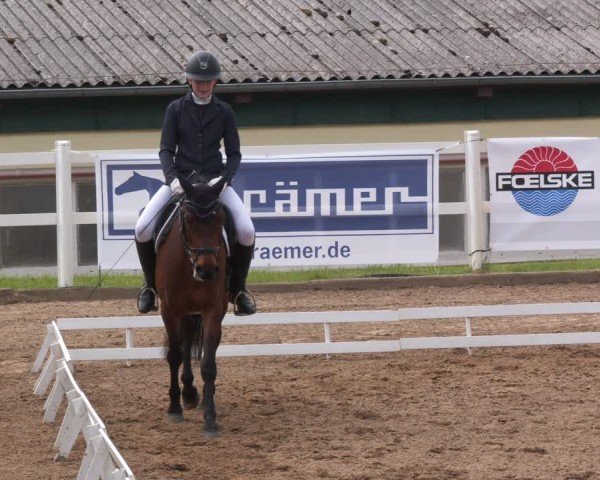 Reitturnier Teupitz 2025