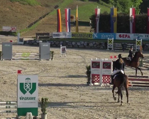 Reitturnier Preding 2025