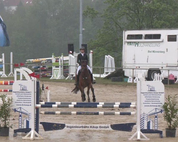 Reitturnier Büren 2025