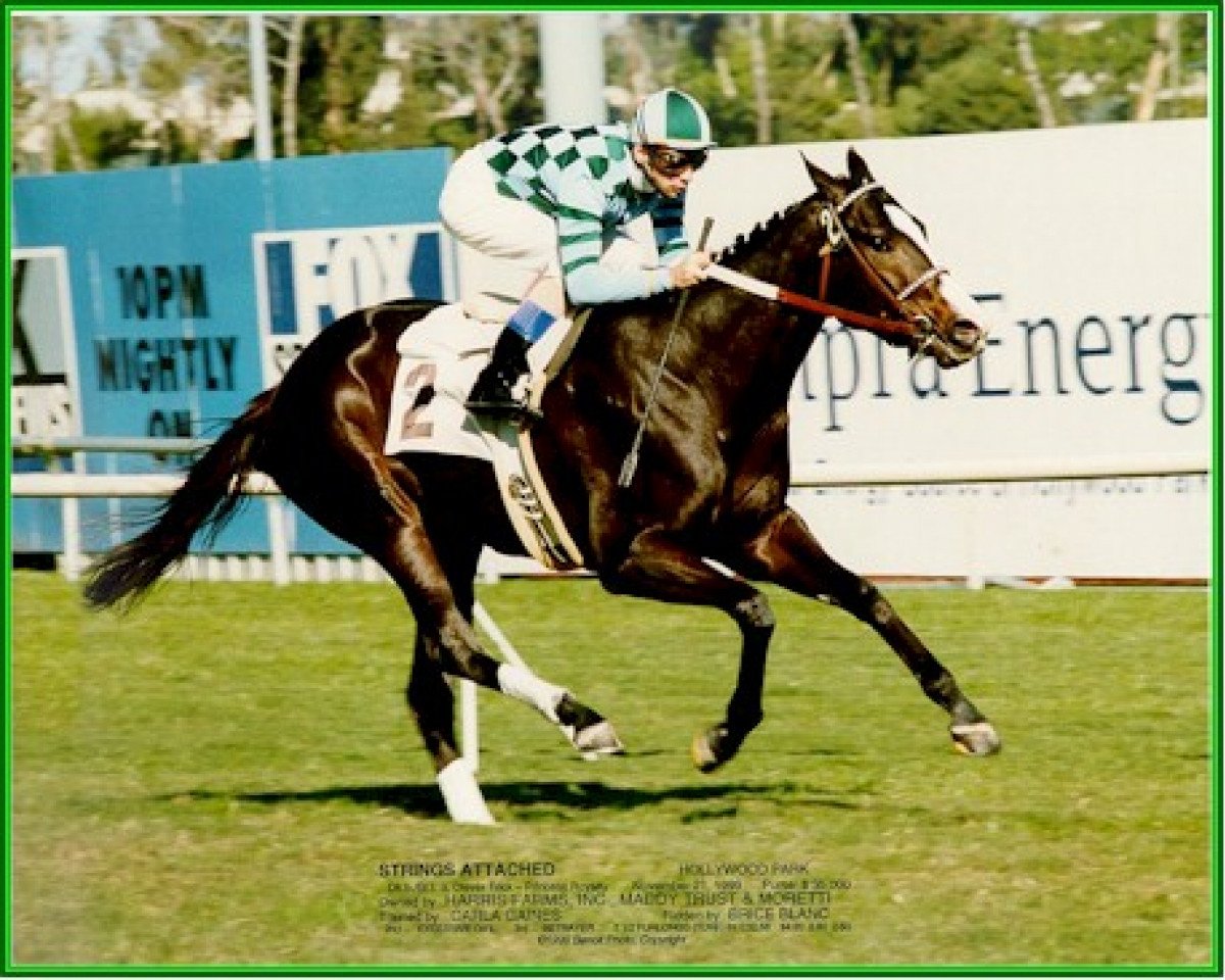 broodmare Strings Attached xx (Thoroughbred, 1968, from Tudor Minstrel xx)