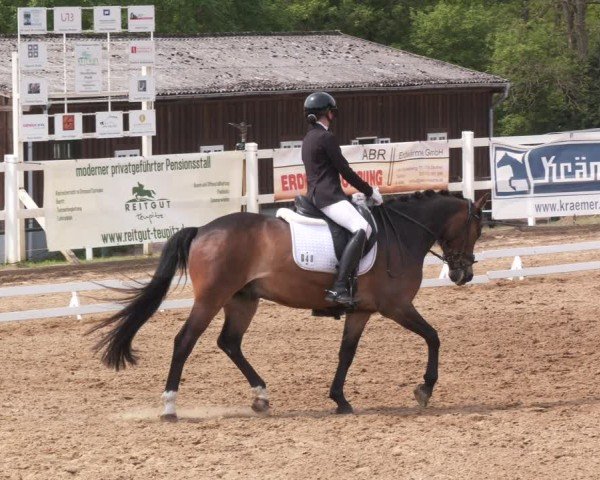 Reitturnier Teupitz 2025