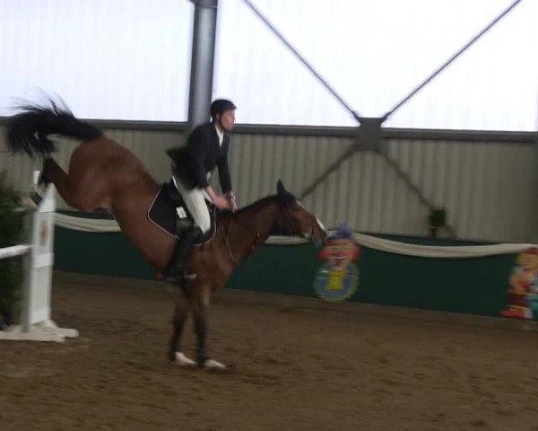 Hallenreitturnier Arnsberg-Voßwinkel 2014
