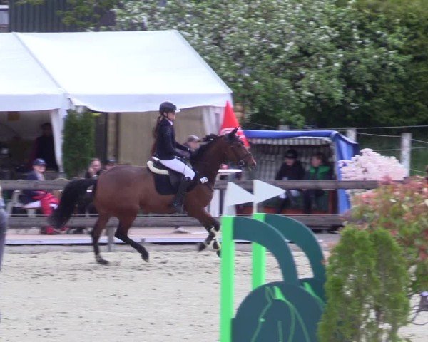 Reitturnier Looperholz 2025