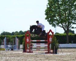 jumper Oasis d'O (Holsteiner, 2018, from Origi D'o)