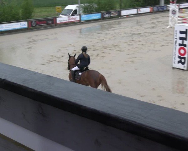 Reitturnier Uder, Reitanlage Kobold 2025