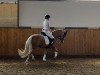 dressage horse Nouvelle Petite JF (German Riding Pony, 2018)