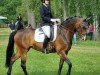 dressage horse Die Magie (Oldenburg, 2013, from Sandro Hit)