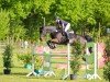 jumper Zalando Lounge (Hanoverian, 2018, from Zinedream)