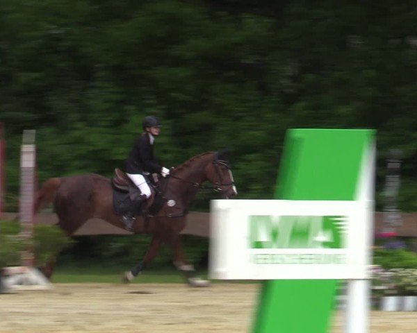 Reitturnier Wesel-Obrighoven 2025
