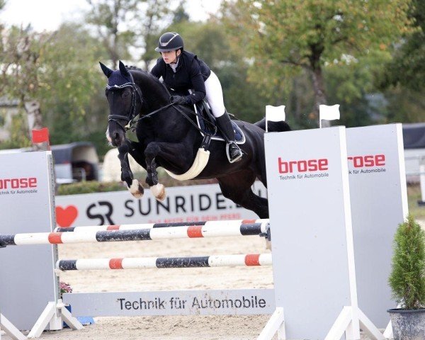 broodmare Lou 96 (Oldenburg show jumper, 2013, from L'Ami)