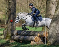 Springpferd Polly 521 (Connemara-Pony, 2017, von Dunloughan Troy)