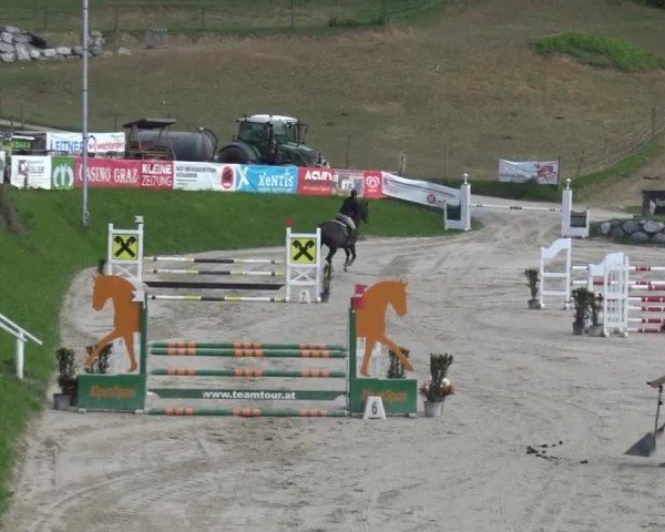 Reitturnier Preding 2025