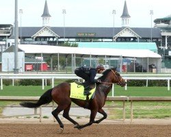 horse Luxor Cafe xx (Thoroughbred, 2022, from American Pharoah xx)