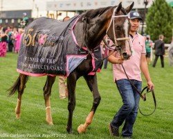 horse Good Cheer xx (Thoroughbred, 2022, from Medaglia d'Oro xx)
