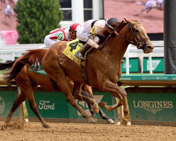horse Raging Sea xx (Thoroughbred, 2020, from Curlin xx)