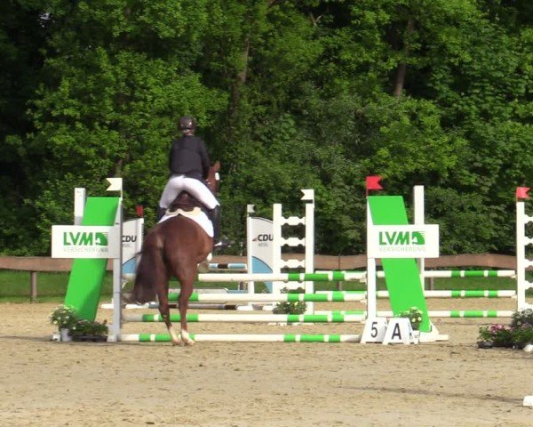 Reitturnier Wesel-Obrighoven 2025