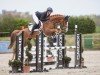jumper Si Senjor's Devito (German Sport Horse, 2020, from Si Senjor)