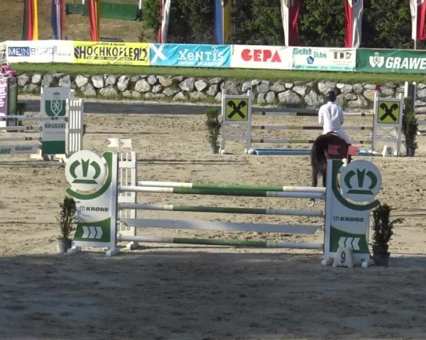 Reitturnier Preding 2025
