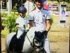 dressage horse Blümchen 180 (Shetland Pony, 2004)