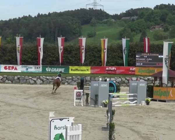 Reitturnier Preding 2025