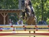 jumper Cappucino 34 (German Sport Horse, 2007, from Clarence C)