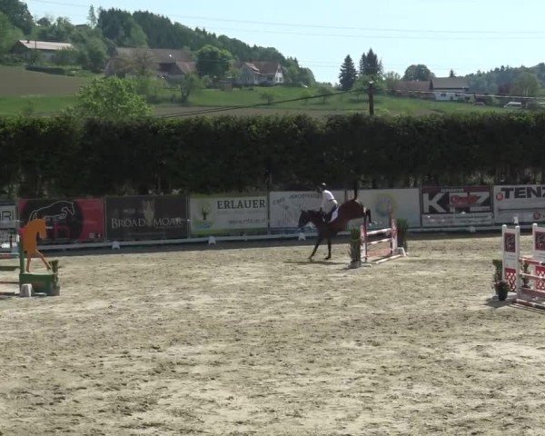 Reitturnier Preding 2025