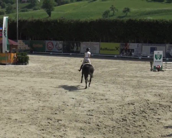 Reitturnier Preding 2025