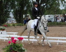 dressage horse Prinzessin (unknown, 2007)