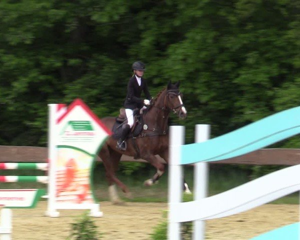 Reitturnier Wesel-Obrighoven 2025