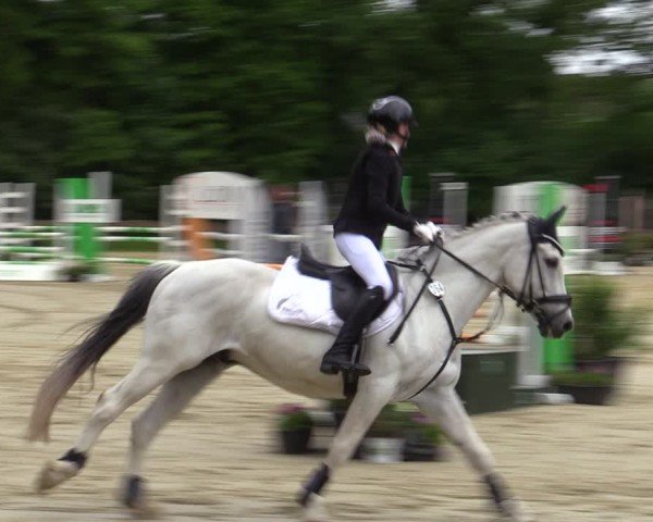 Reitturnier Wesel-Obrighoven 2025