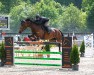 jumper Kamelia du Grand Moustier (Belgian Warmblood, 2016, from Quaser de l'Ile)