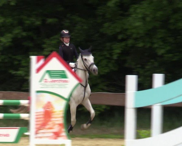 Reitturnier Wesel-Obrighoven 2025