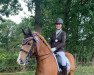 dressage horse Magic Whisper (Nederlands Welsh Ridepony, 2006)