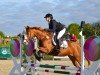 Springpferd Abalou 7 (Oldenburger, 2010, von Bon Balou 5)