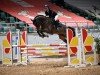 jumper Invictus 9 (KWPN (Royal Dutch Sporthorse), 2013, from Diamant de Semilly)