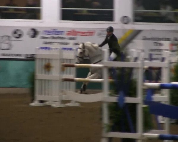 Hallenreitturnier Arnsberg-Voßwinkel 2014